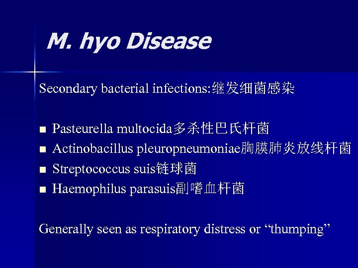 M. hyo Disease Secondary bacterial infections: 继发细菌感染 n n Pasteurella multocida多杀性巴氏杆菌 Actinobacillus pleuropneumoniae胸膜肺炎放线杆菌 Streptococcus