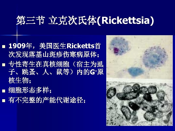 第三节 立克次氏体(Rickettsia) n n 1909年，美国医生Ricketts首 次发现落基山斑疹伤寒病原体； 专性寄生在真核细胞（宿主为虱 子、跳蚤、人、鼠等）内的G-原 核生物； 细胞形态多样； 有不完整的产能代谢途径； 
