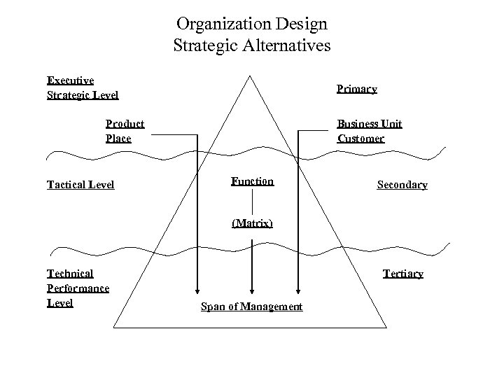 Organization Design Strategic Alternatives Executive Strategic Level Primary Product Place Tactical Level Business Unit