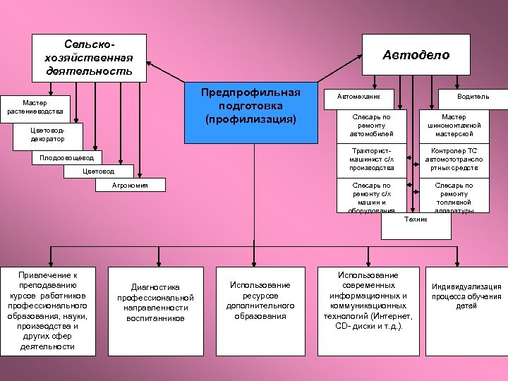 Сельскохозяйственная деятельность Автодело Предпрофильная подготовка (профилизация) Мастер растениеводства Автомеханик Водитель Цветовод Агрономия Контролер ТС