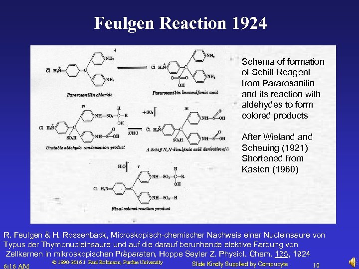 Feulgen Reaction 1924 Schema of formation of Schiff Reagent from Pararosanilin and its reaction