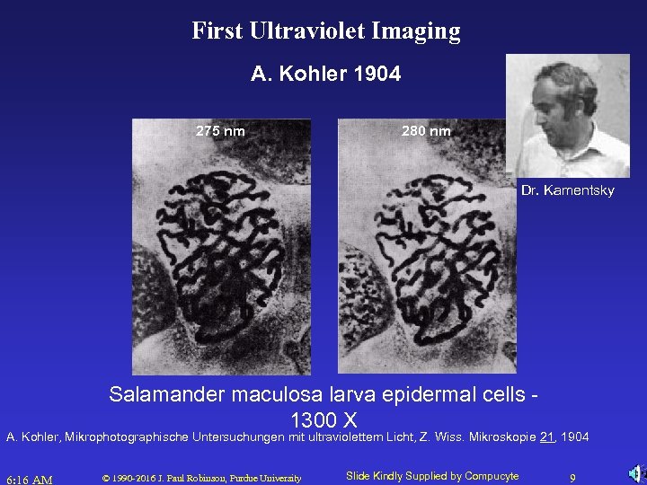 First Ultraviolet Imaging A. Kohler 1904 275 nm 280 nm Dr. Kamentsky Salamander maculosa