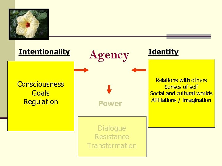 Intentionality Consciousness Goals Regulation Agency Power Dialogue Resistance Transformation Identity Relations with others Senses