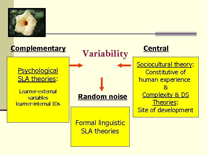 Complementary Variability Psychological SLA theories: Learner-external variables learner-internal IDs Random noise Formal linguistic SLA
