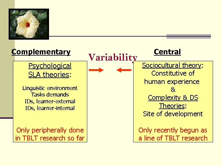 Complementary Psychological SLA theories: Linguistic environment Tasks demands IDs, learner-external IDs, learner-internal Only peripherally