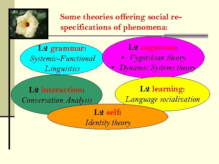 Some theories offering social respecifications of phenomena: L 2 grammar: Systemic-Functional Linguistics L 2