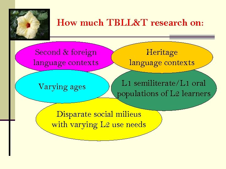 How much TBLL&T research on: Second & foreign language contexts Varying ages Heritage language