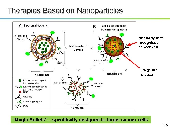Therapies Based on Nanoparticles Antibody that recognises cancer cell Drugs for release “Magic Bullets”…specifically