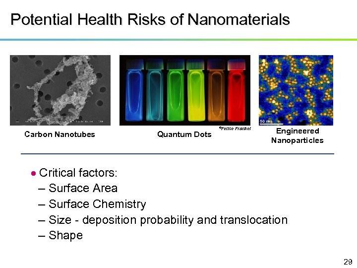 Potential Health Risks of Nanomaterials Carbon Nanotubes Quantum Dots ©Felice Frankel Engineered Nanoparticles Critical