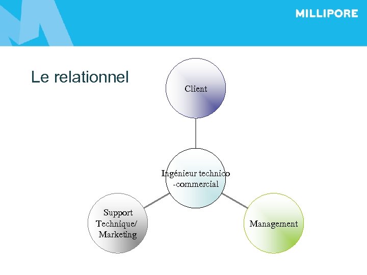 Le relationnel Client Ingénieur technico -commercial Support Technique/ Marketing Management 