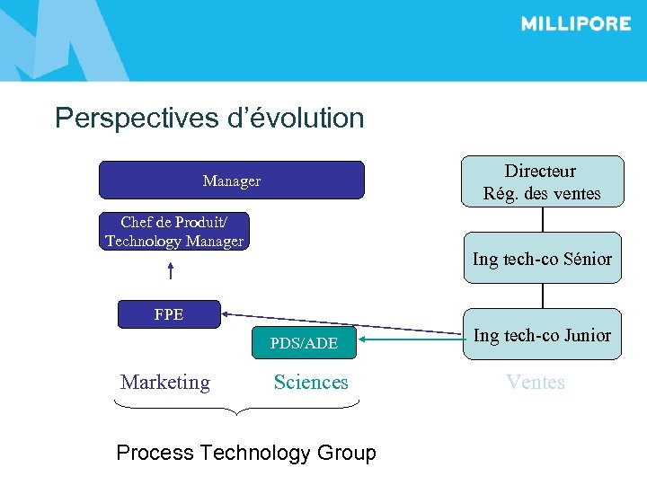 Perspectives d’évolution Directeur Rég. des ventes Manager Chef de Produit/ Technology Manager Ing tech-co