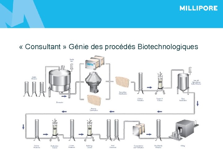  « Consultant » Génie des procédés Biotechnologiques 