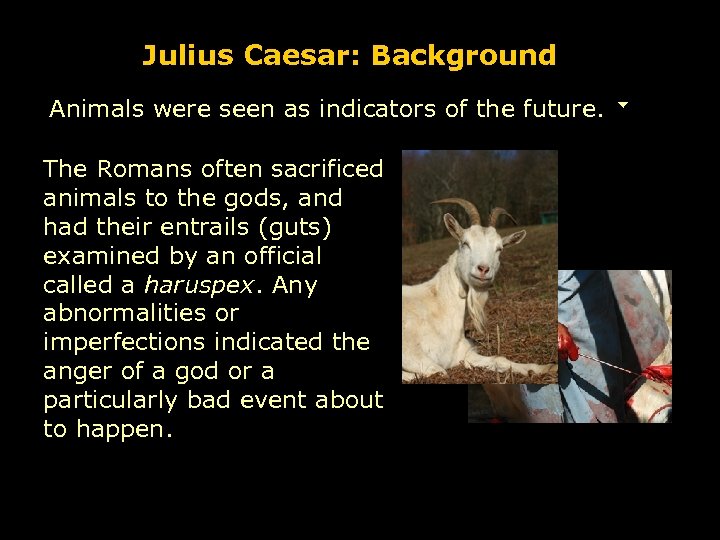 Julius Caesar: Background Animals were seen as indicators of the future. The Romans often