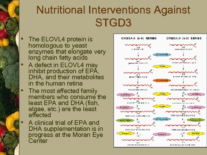 Nutritional Interventions Against STGD 3 • The ELOVL 4 protein is • • •