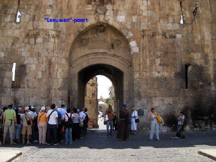 “Leeuwen”-poort 