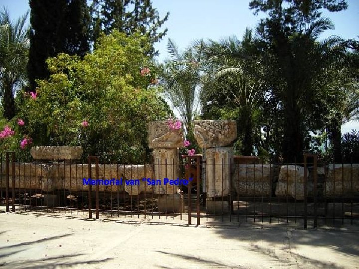 Memorial van “San Pedro” Thursday, March 15, 2018 58 