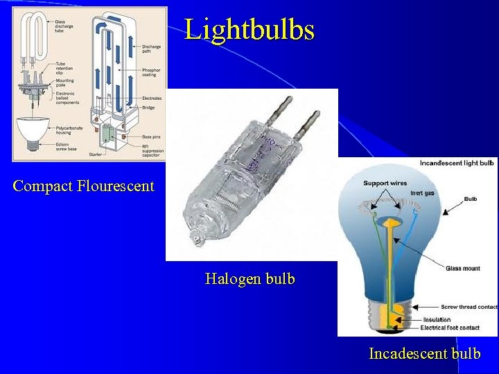 Lightbulbs Compact Flourescent Halogen bulb Incadescent bulb 