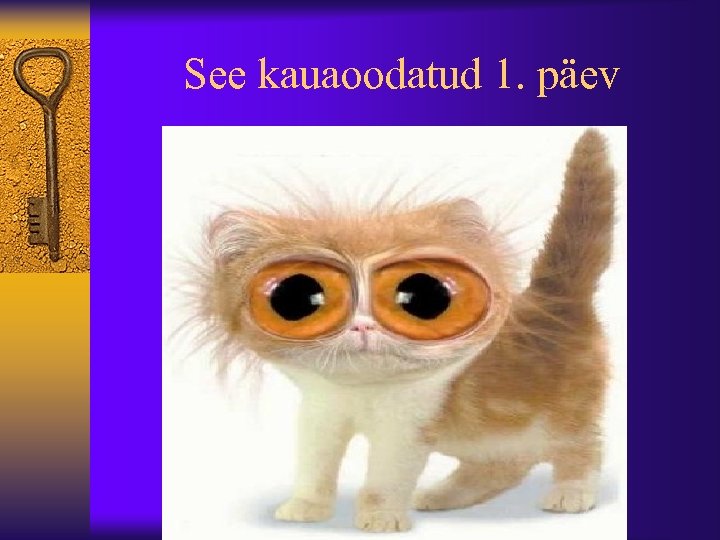 See kauaoodatud 1. päev 