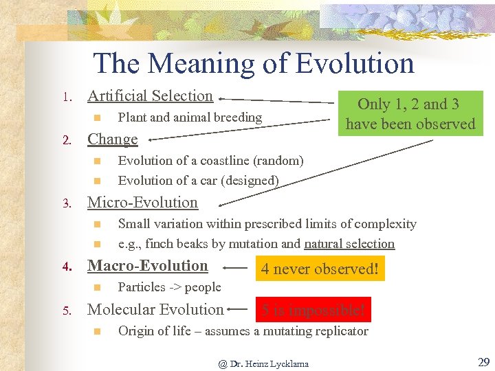 The Meaning of Evolution 1. Artificial Selection n 2. Change n n 3. n