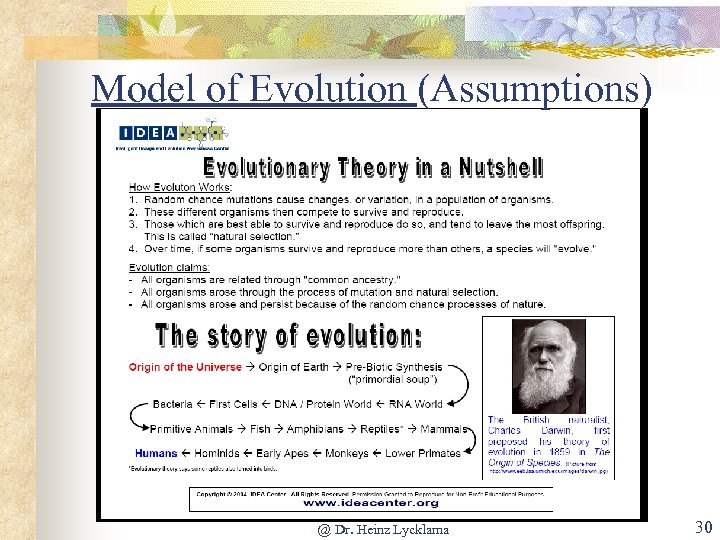 Model of Evolution (Assumptions) @ Dr. Heinz Lycklama 30 