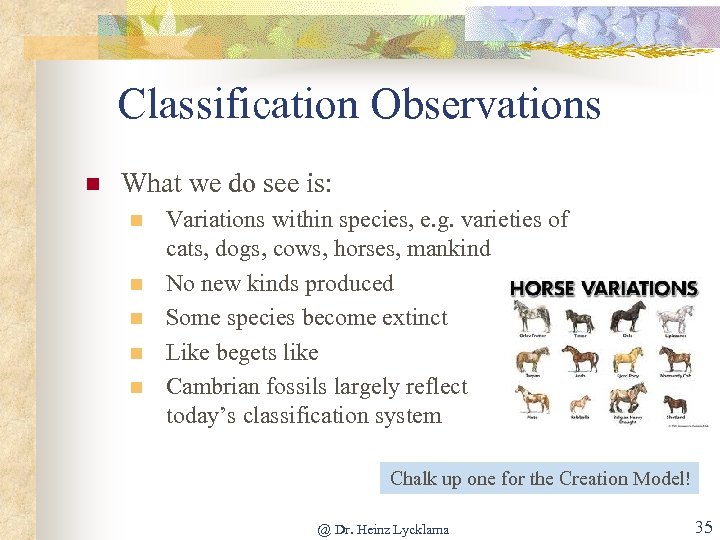 Classification Observations n What we do see is: n n n Variations within species,