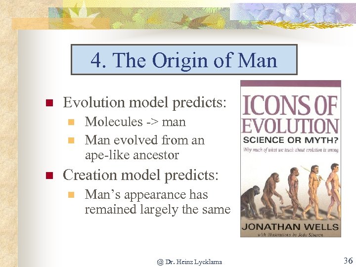 4. The Origin of Man n Evolution model predicts: n n n Molecules ->
