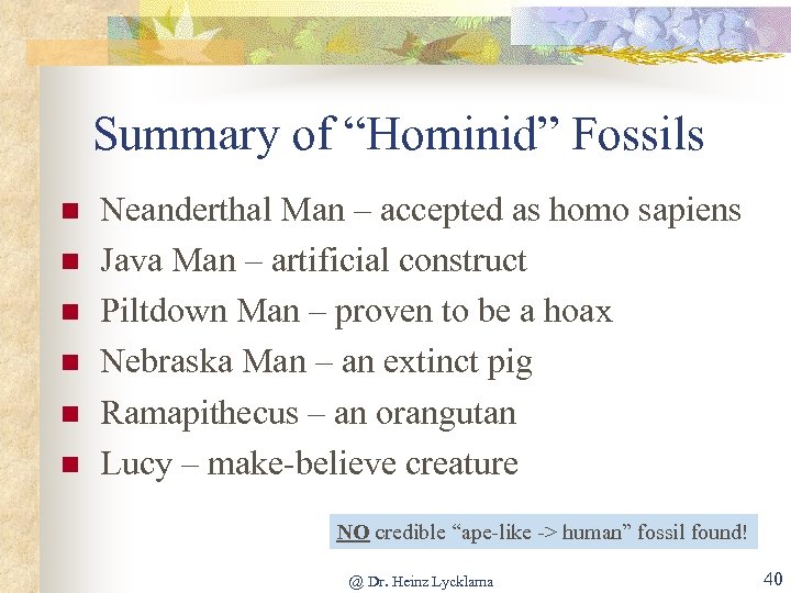 Summary of “Hominid” Fossils n n n Neanderthal Man – accepted as homo sapiens