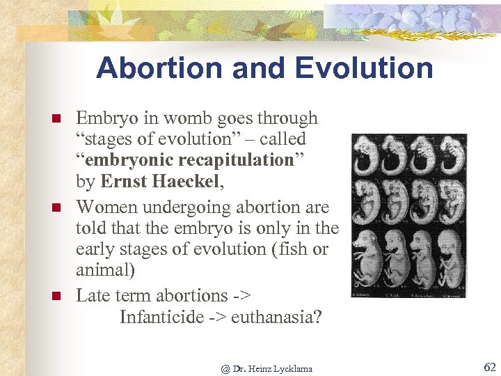 Abortion and Evolution n Embryo in womb goes through “stages of evolution” – called