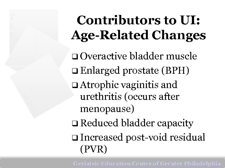 T L C Contributors to UI: Age-Related Changes q Overactive bladder muscle q Enlarged