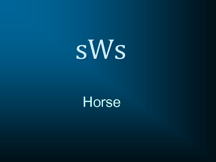 s. Ws Horse 