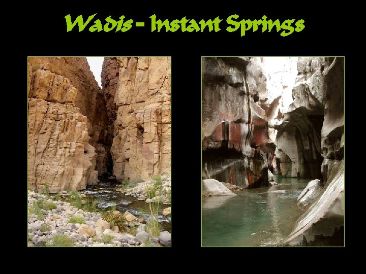 Wadis – Instant Springs 