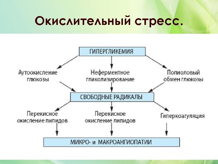 Окислительный стресс. 