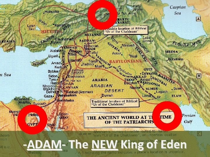 -ADAM- The NEW King of Eden 