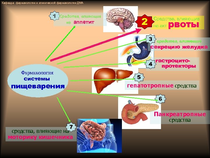 Средства влияющие на пищеварительную систему фармакология презентация