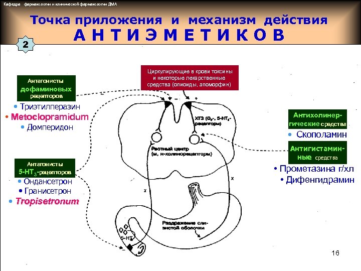 Кафедра фармакологии и клинической фармакологии ДМА Точка приложения и механизм действия АНТИЭМЕТИКОВ 2 Антагонисты