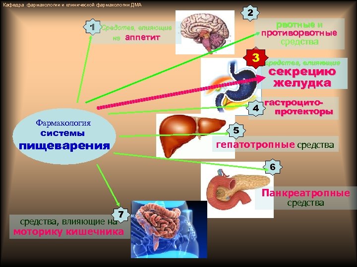 Кафедра фармакологии и клинической фармакологии ДМА 1 2 рвотные и противорвотные средства Средства, влияющие