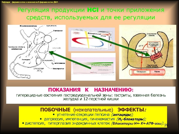 Кафедра фармакологии и клинической фармакологии ДМА Регуляция продукции HCl и точки приложения средств, используемых