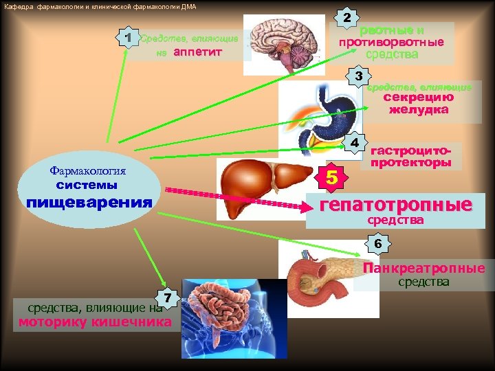 Кафедра фармакологии и клинической фармакологии ДМА 1 Средства, влияющие на аппетит 2 рвотные и