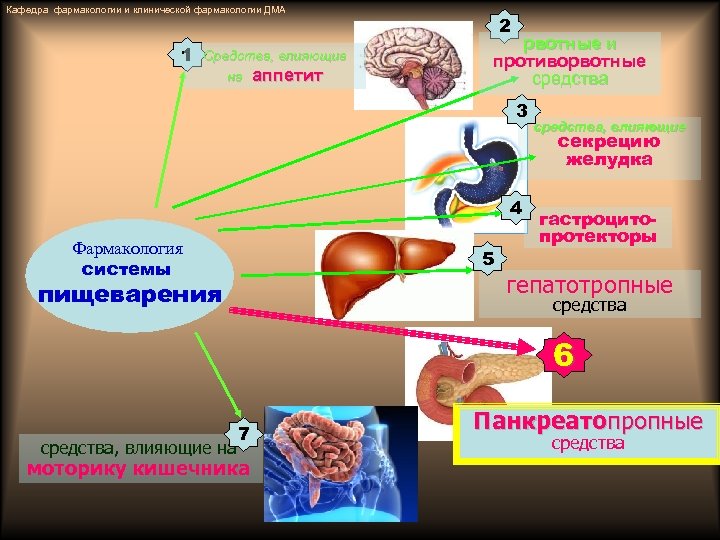 Средства влияющие на аппетит фармакология презентация