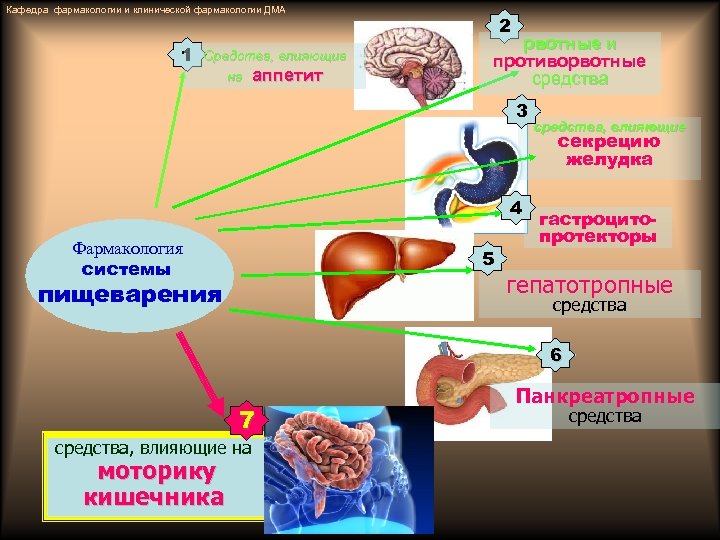 Кафедра фармакологии и клинической фармакологии ДМА 1 Средства, влияющие на аппетит 2 рвотные и