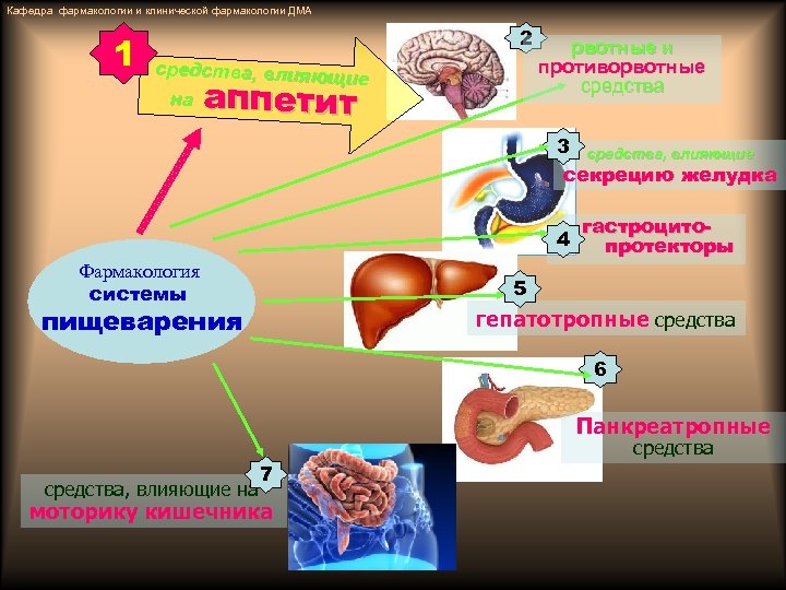 Кафедра фармакологии и клинической фармакологии ДМА 1 2 средства, влияющ ие на аппетит рвотные