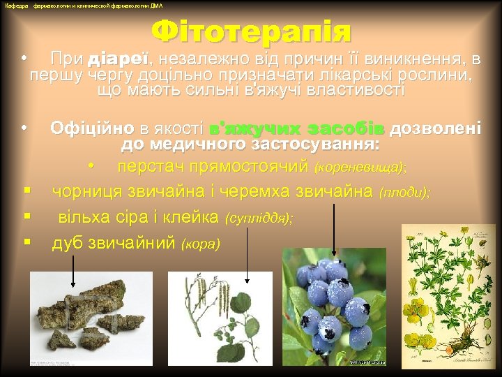 Кафедра фармакологии и клинической фармакологии ДМА Фітотерапія При діареї, незалежно від причин її виникнення,