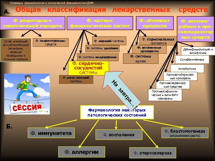 Кафедра фармакологии и клинической фармакологии ДМА А. Общая классификация лекарственных Ф. рецепторов и синаптической