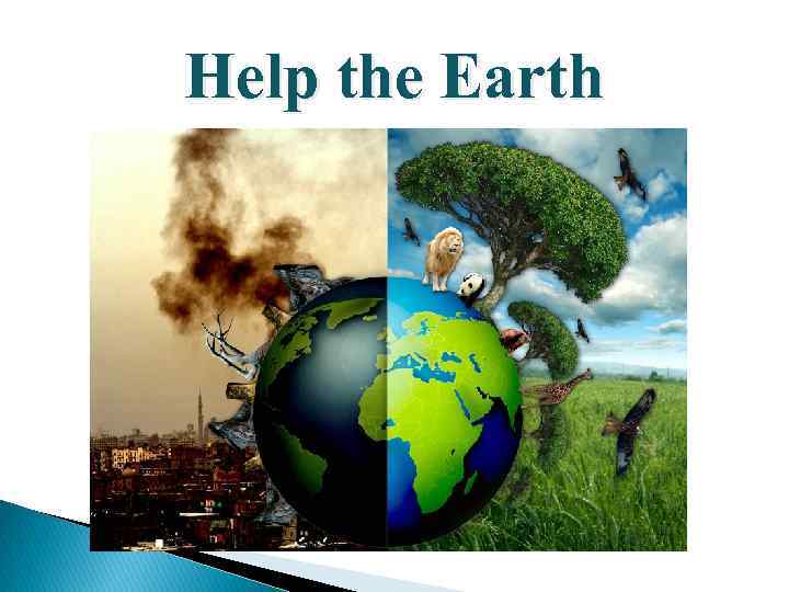 Help the Earth 