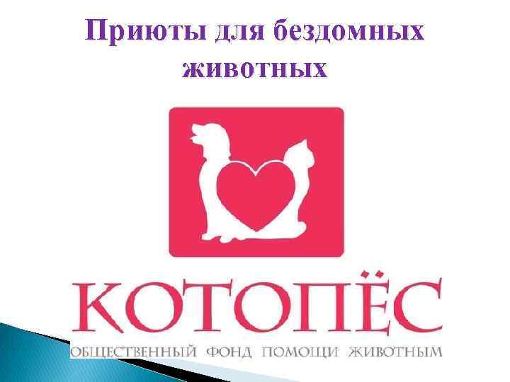 Приюты для бездомных животных 