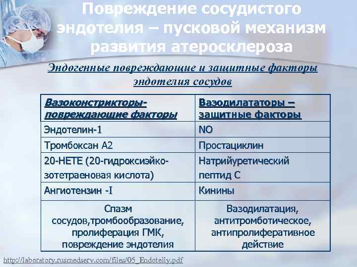 Повреждение сосудистого эндотелия – пусковой механизм развития атеросклероза Эндогенные повреждающие и защитные факторы эндотелия