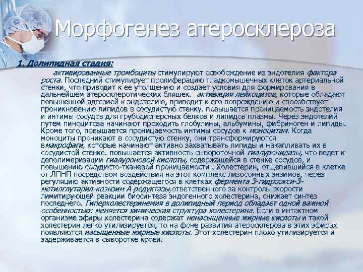 Морфогенез атеросклероза 1. Долипидная стадия: активированные тромбоциты стимулируют освобождение из эндотелия фактора роста. Последний