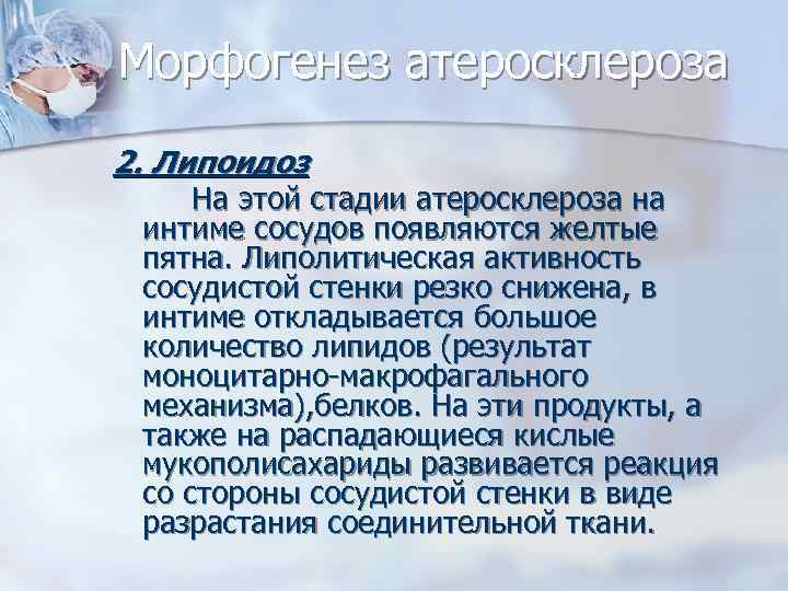 Морфогенез атеросклероза 2. Липоидоз На этой стадии атеросклероза на интиме сосудов появляются желтые пятна.