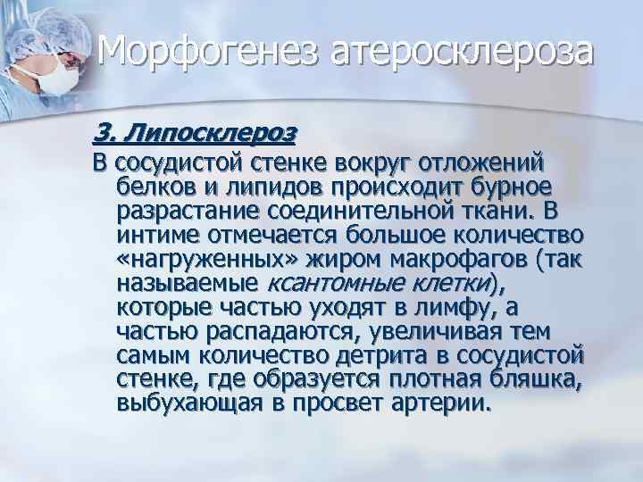 Морфогенез атеросклероза 3. Липосклероз В сосудистой стенке вокруг отложений белков и липидов происходит бурное