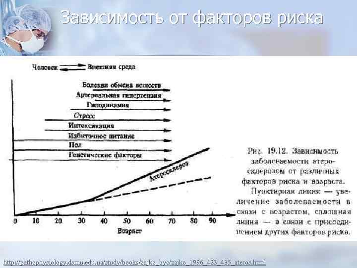 Зависимость от факторов риска http: //pathophysiology. dsmu. edu. ua/study/books/zajko_byc/zajko_1996_423_435_ateros. html 